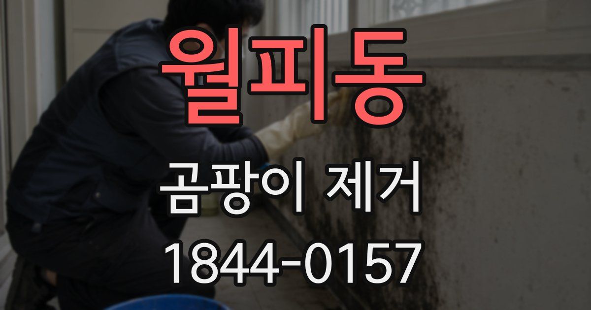 월피동 곰팡이 제거