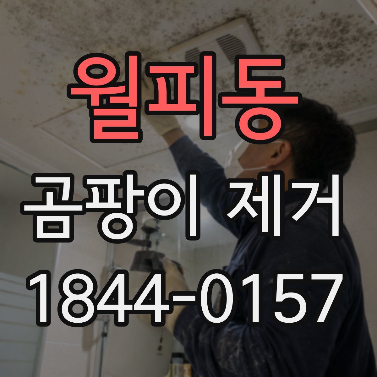 월피동 곰팡이 제거