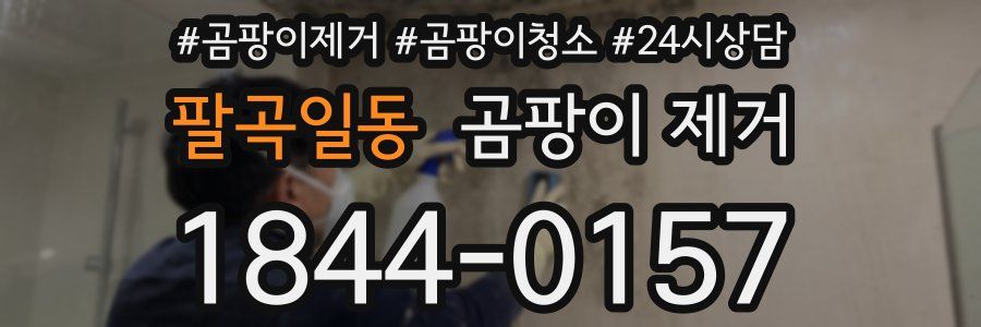 팔곡일동 곰팡이 제거