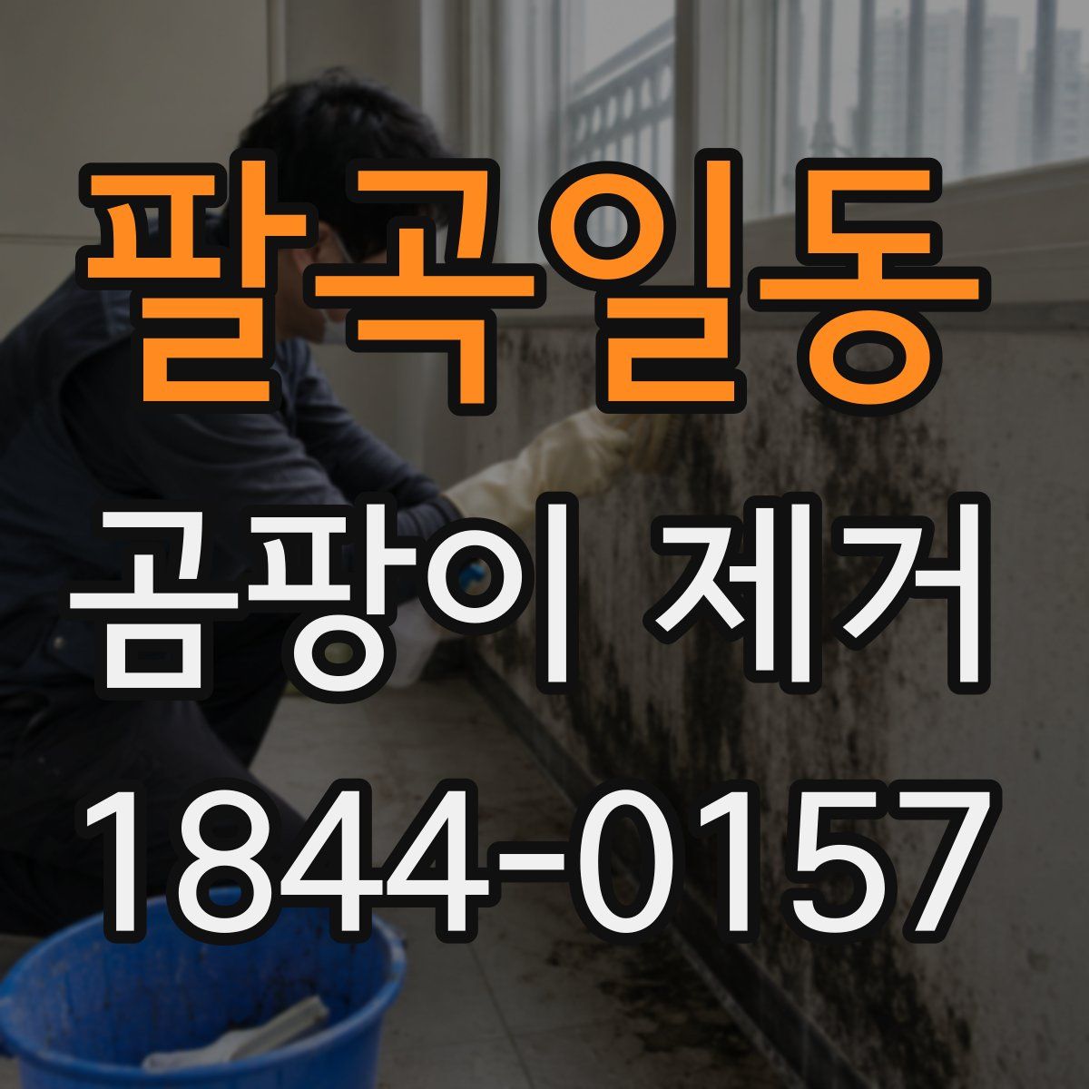 팔곡일동 곰팡이 제거