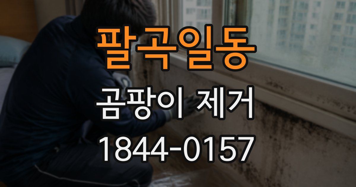 팔곡일동 곰팡이 제거