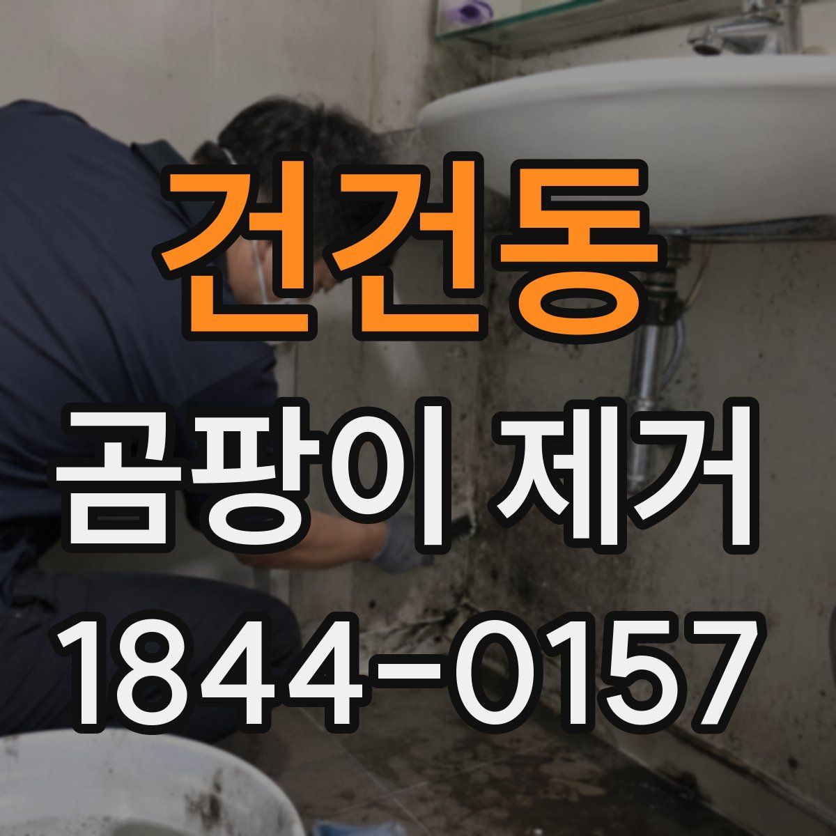 건건동 곰팡이 제거