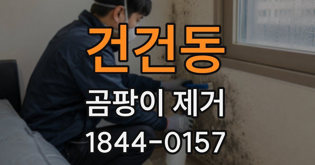 건건동 곰팡이 제거