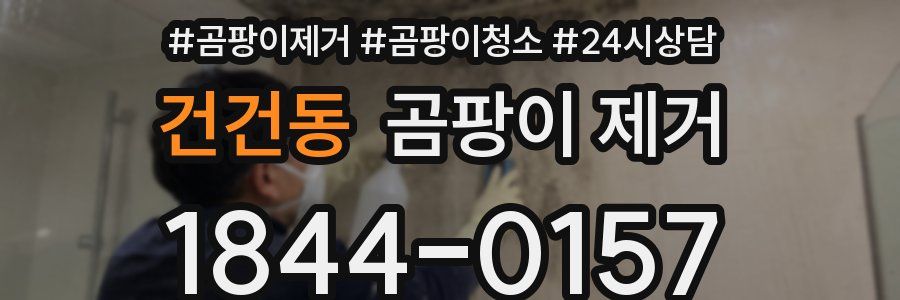 건건동 곰팡이 제거