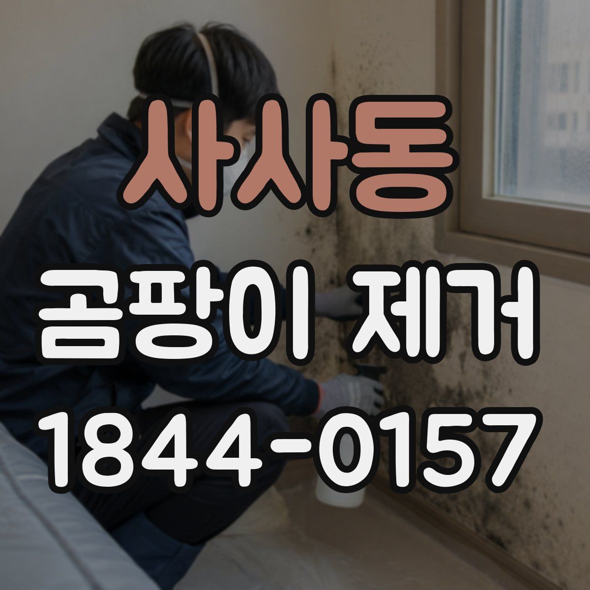 사사동 곰팡이 제거
