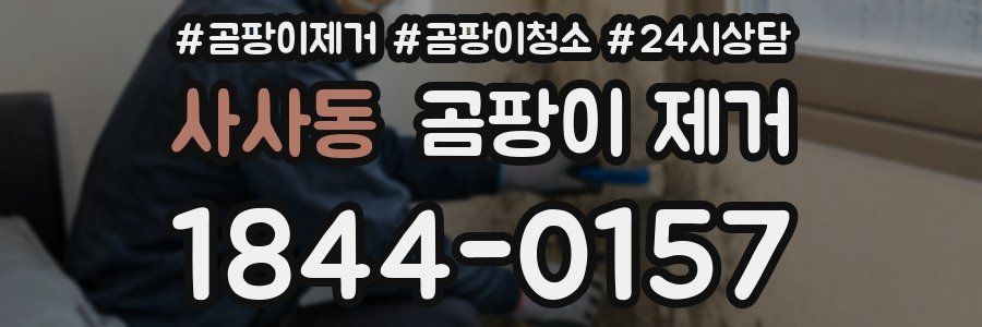 사사동 곰팡이 제거