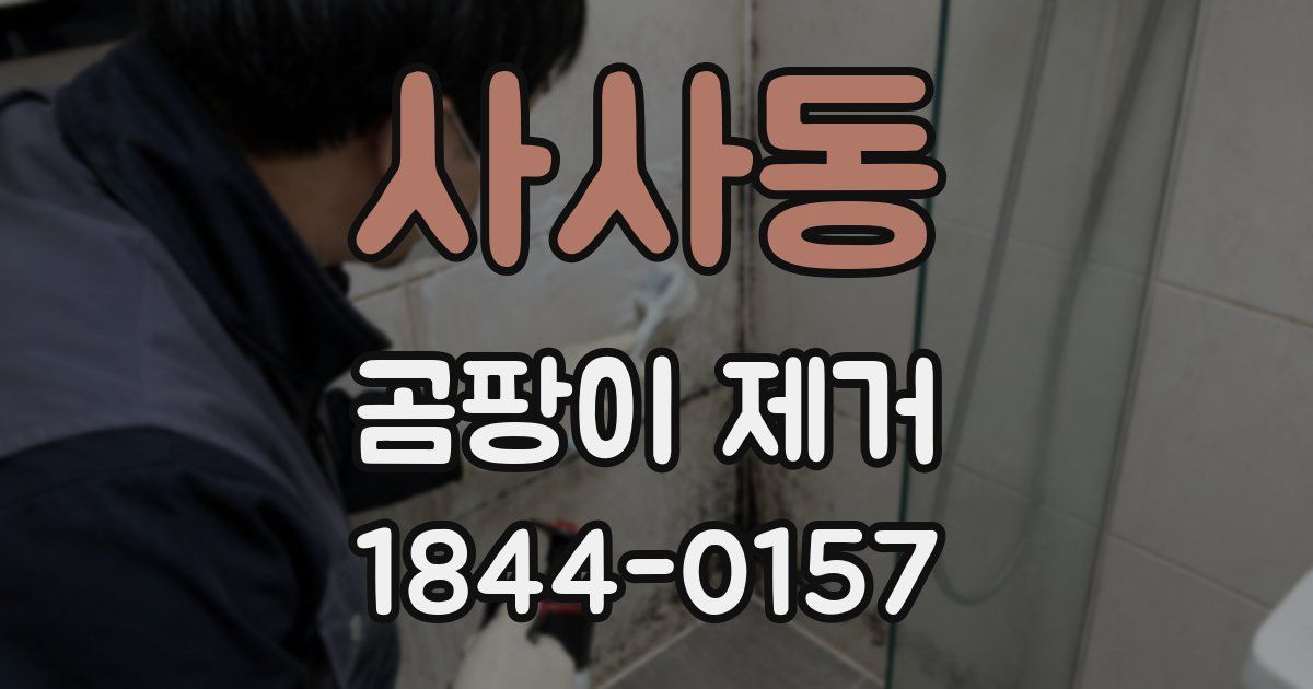 사사동 곰팡이 제거