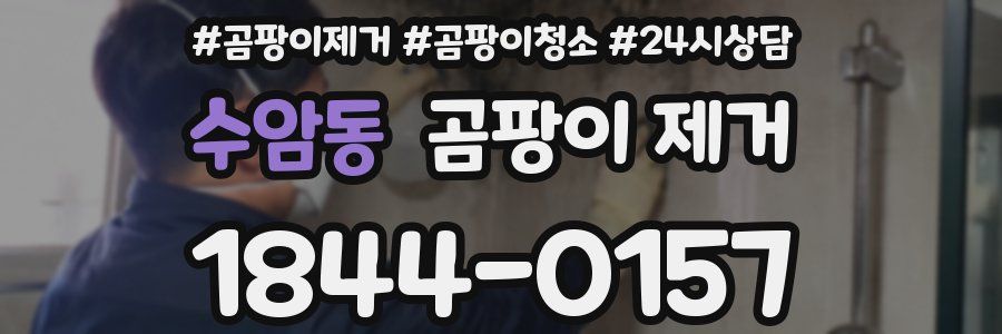 수암동 곰팡이 제거