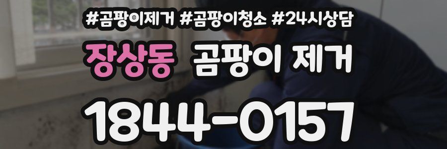 장상동 곰팡이 제거