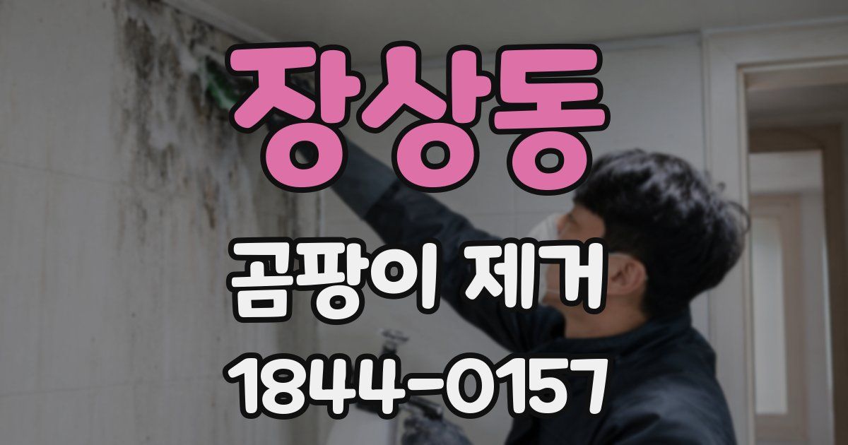 장상동 곰팡이 제거