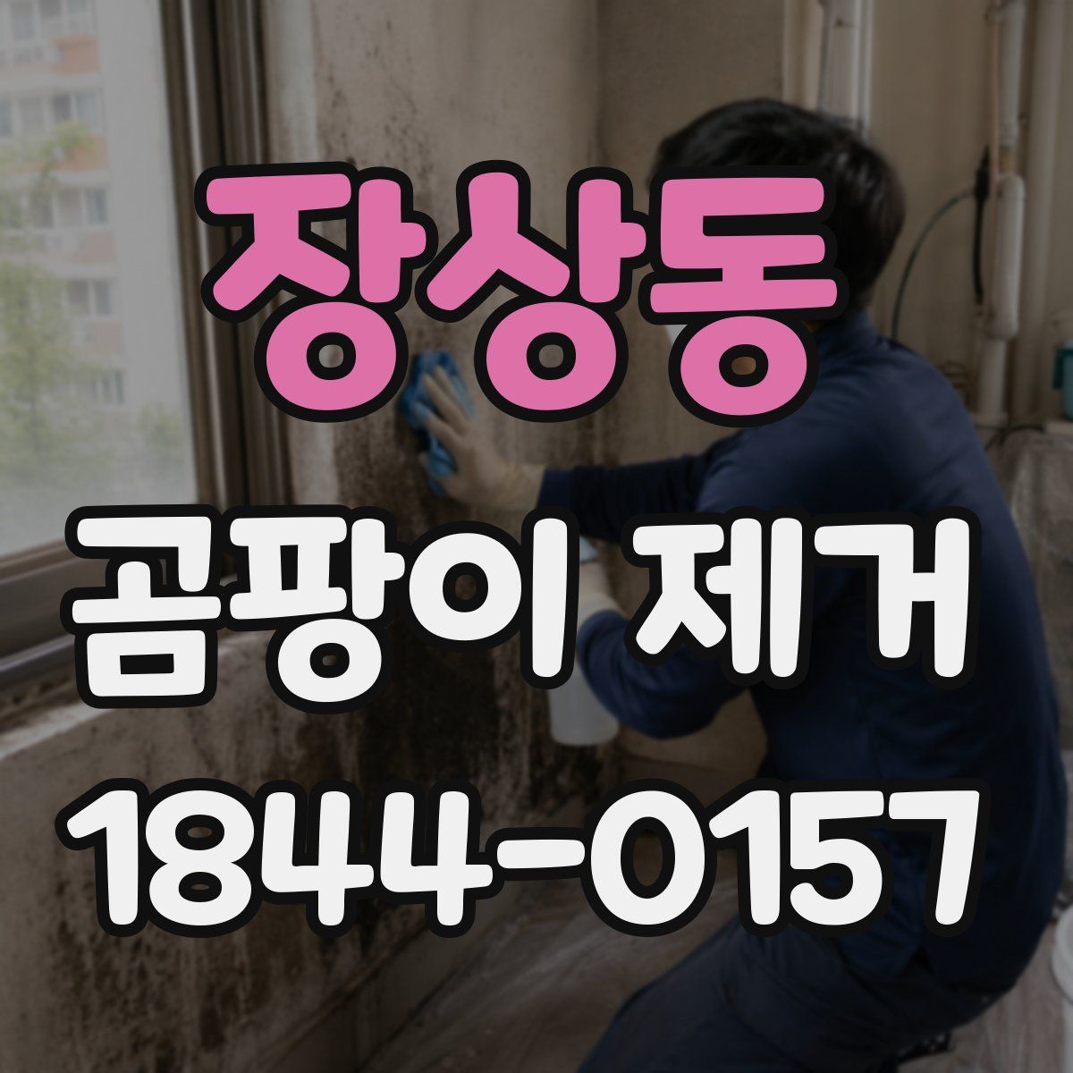 장상동 곰팡이 제거