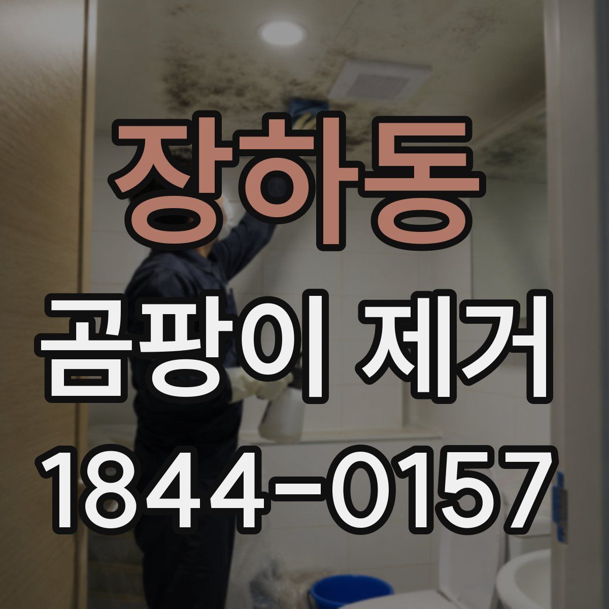 장하동 곰팡이 제거