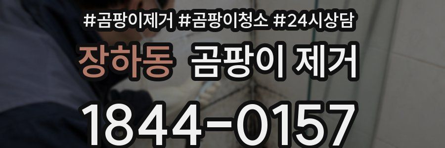 장하동 곰팡이 제거