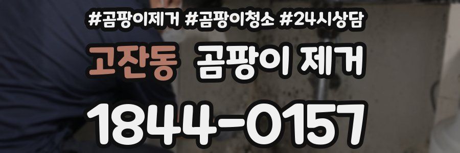 고잔동 곰팡이 제거