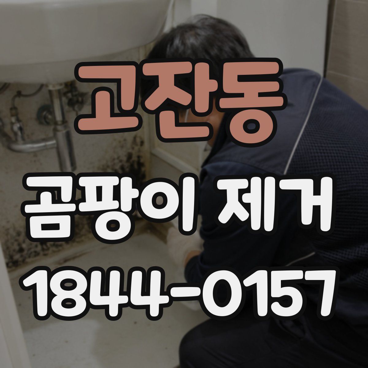 고잔동 곰팡이 제거