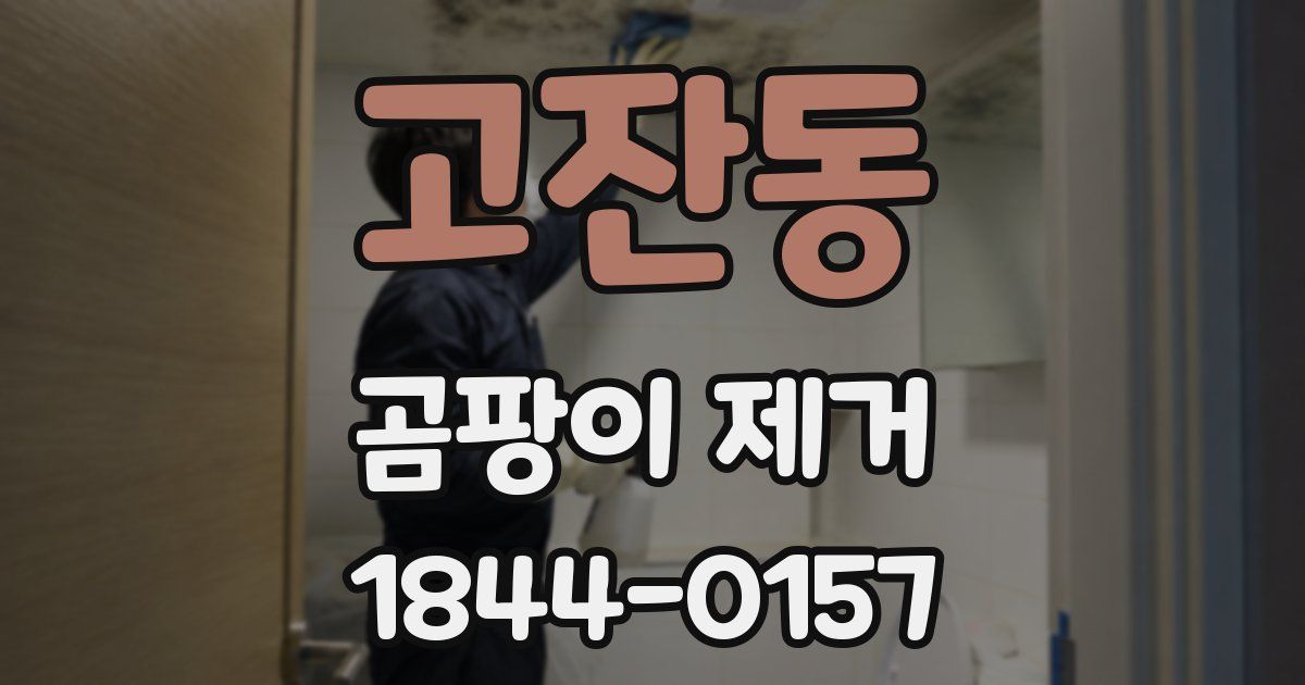 고잔동 곰팡이 제거