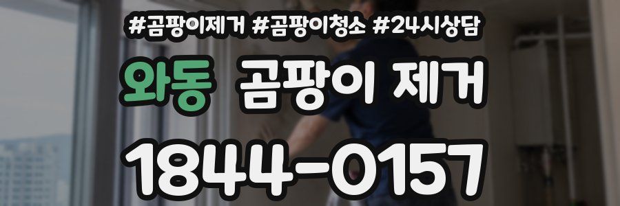 와동 곰팡이 제거