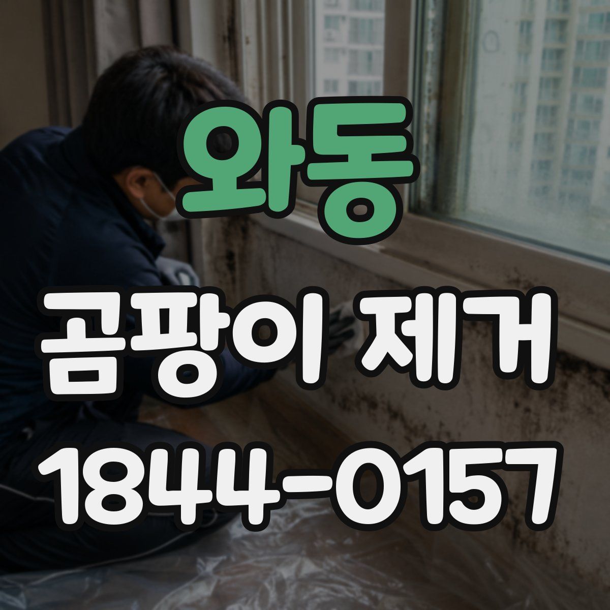 와동 곰팡이 제거