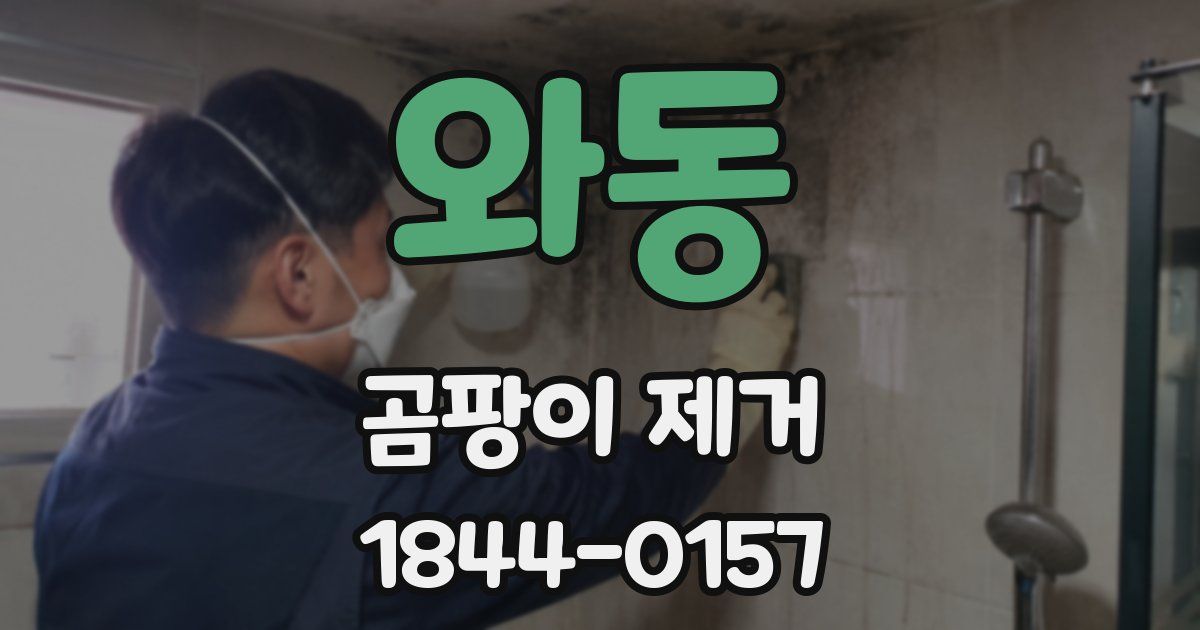 와동 곰팡이 제거