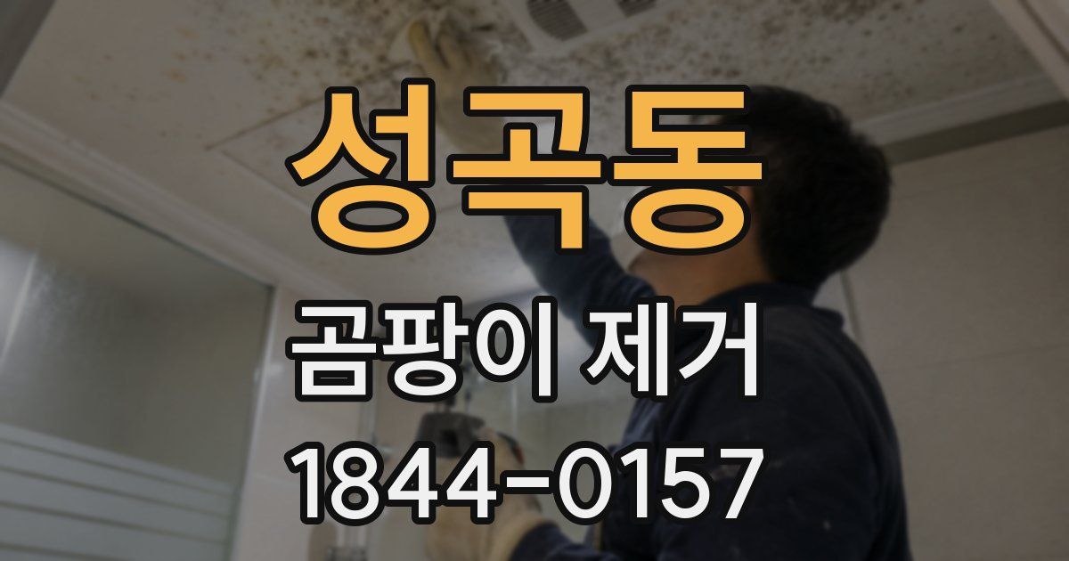 성곡동 곰팡이 제거