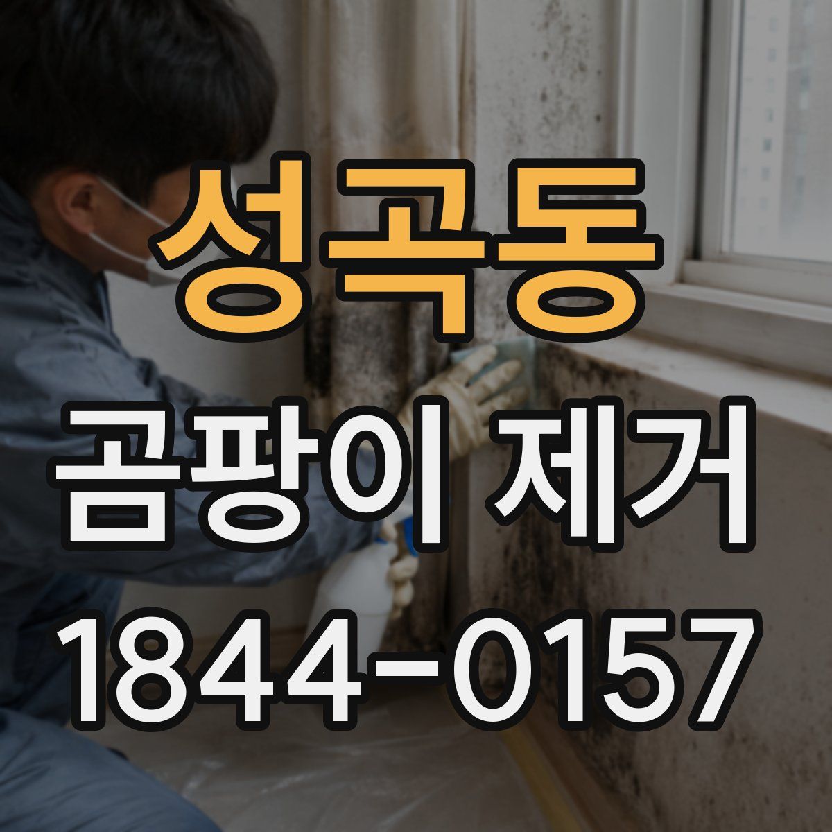 성곡동 곰팡이 제거