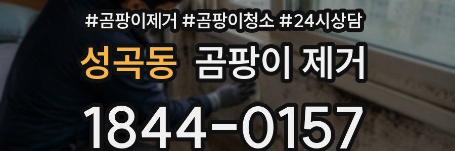성곡동 곰팡이 제거