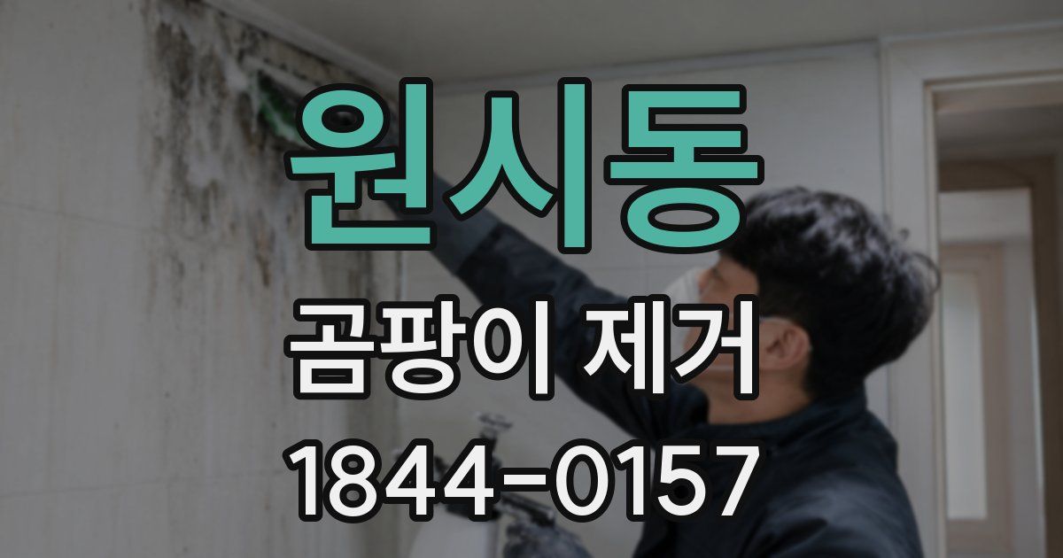 원시동 곰팡이 제거