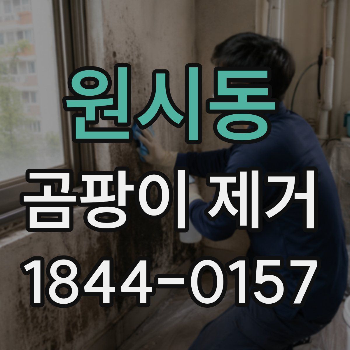 원시동 곰팡이 제거