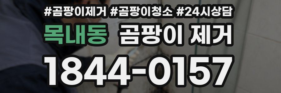 목내동 곰팡이 제거