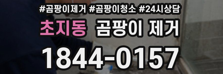 초지동 곰팡이 제거