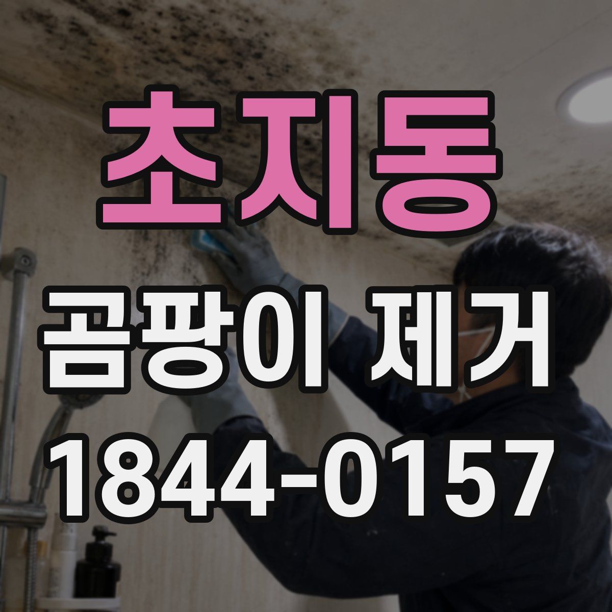 초지동 곰팡이 제거