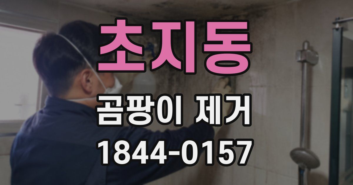 초지동 곰팡이 제거