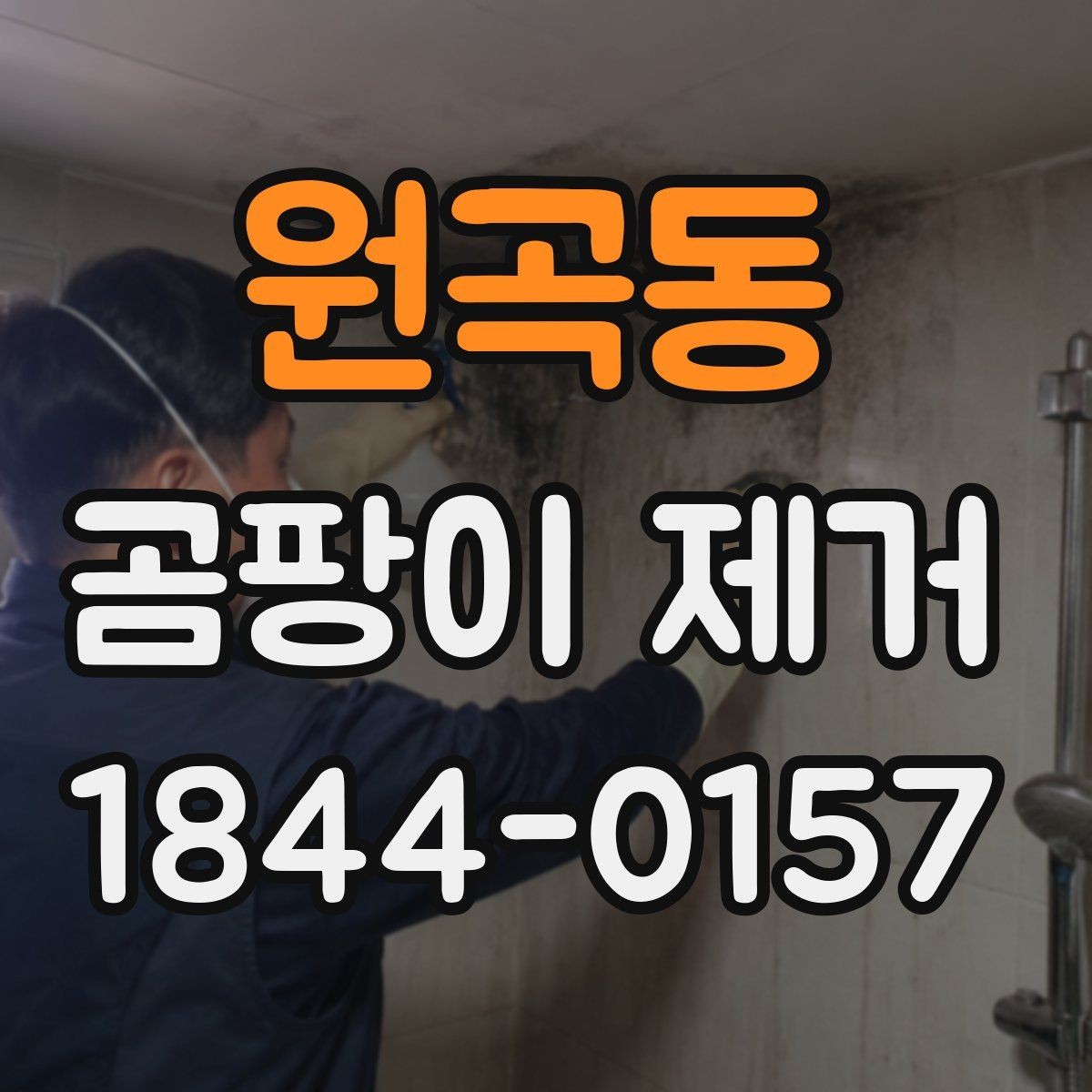 원곡동 곰팡이 제거 장농 뒤 숨은 습기 대책과 점검법