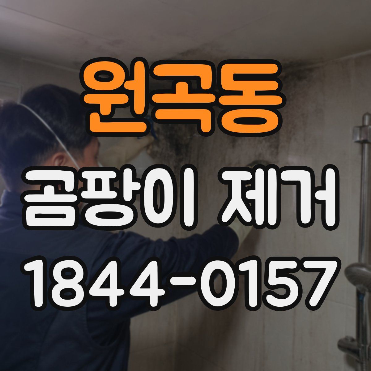 원곡동 곰팡이 제거