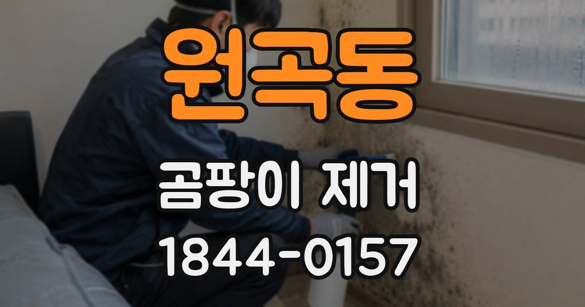 원곡동 곰팡이 제거