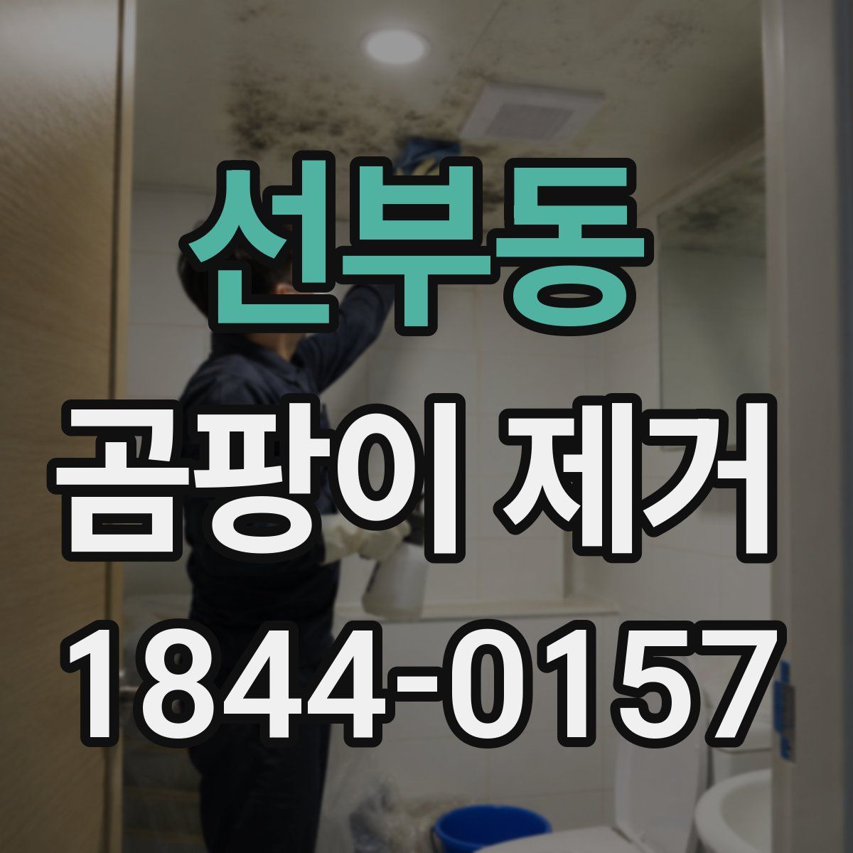 선부동 곰팡이 제거