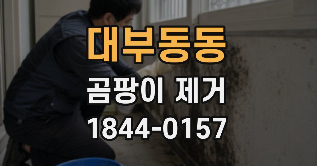 대부동동 곰팡이 제거