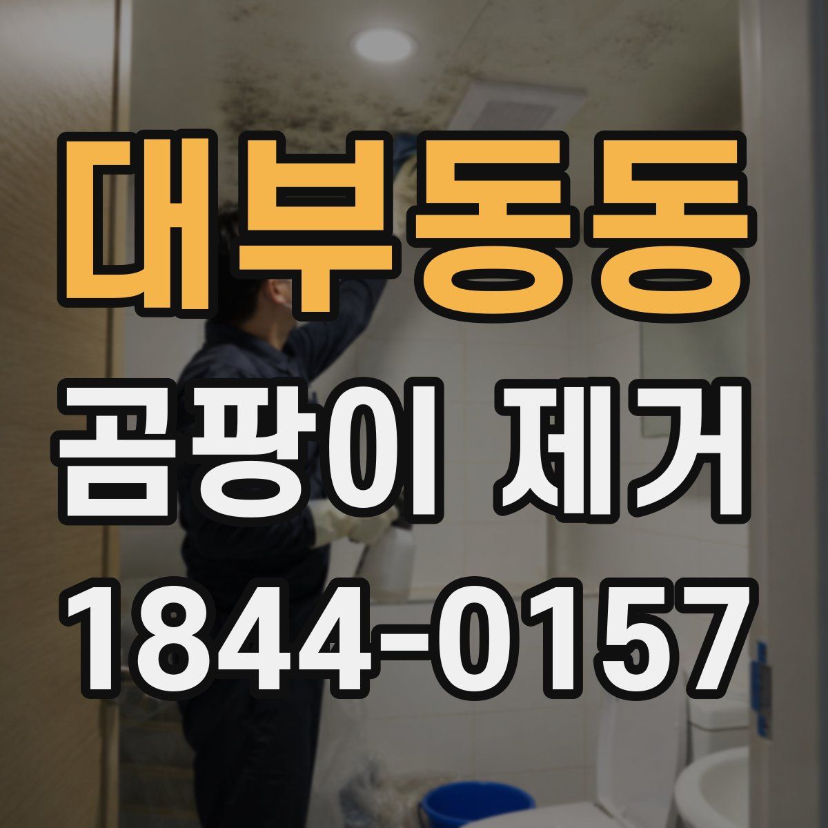 대부동동 곰팡이 제거