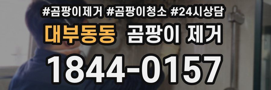 대부동동 곰팡이 제거