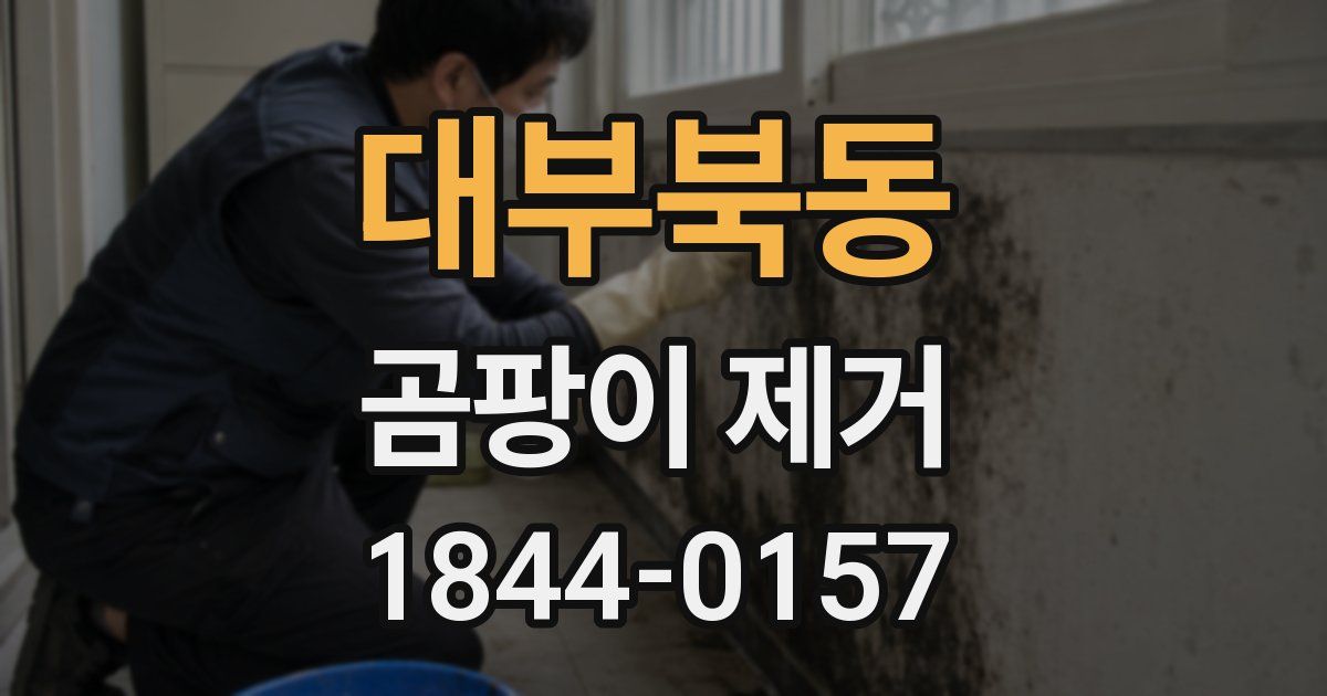 대부북동 곰팡이 제거