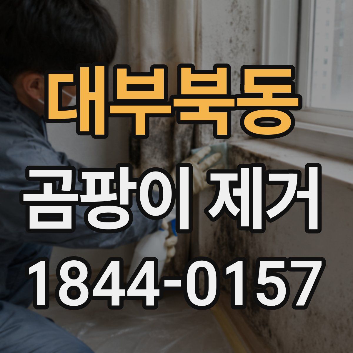 대부북동 곰팡이 제거
