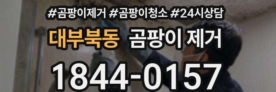 대부북동 곰팡이 제거
