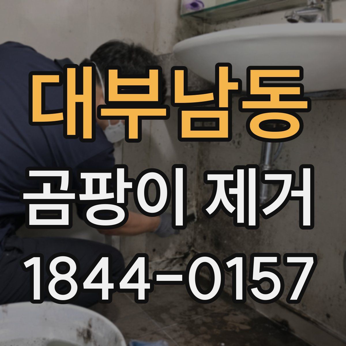 대부남동 곰팡이 제거