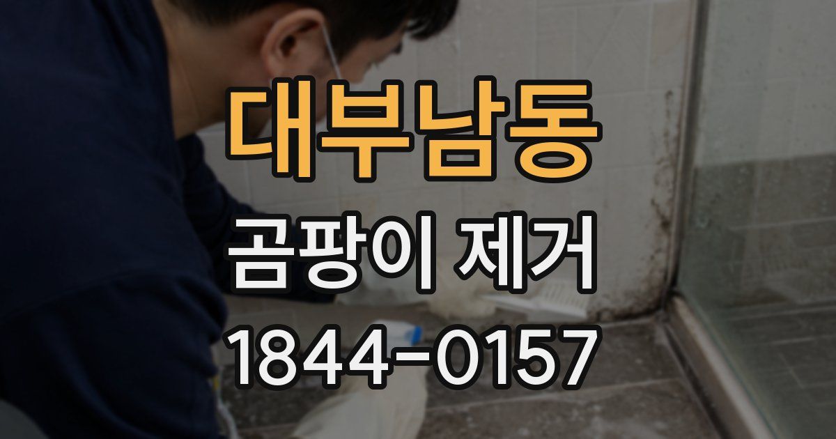대부남동 곰팡이 제거
