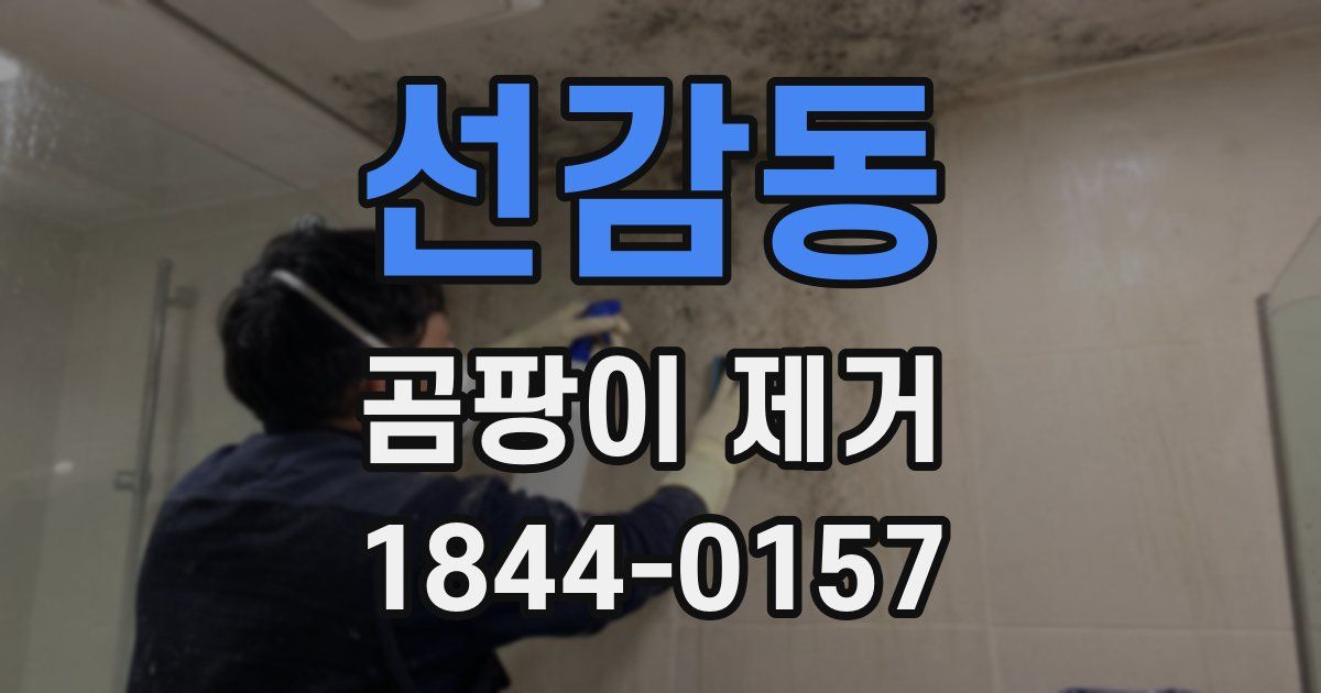 선감동 곰팡이 제거