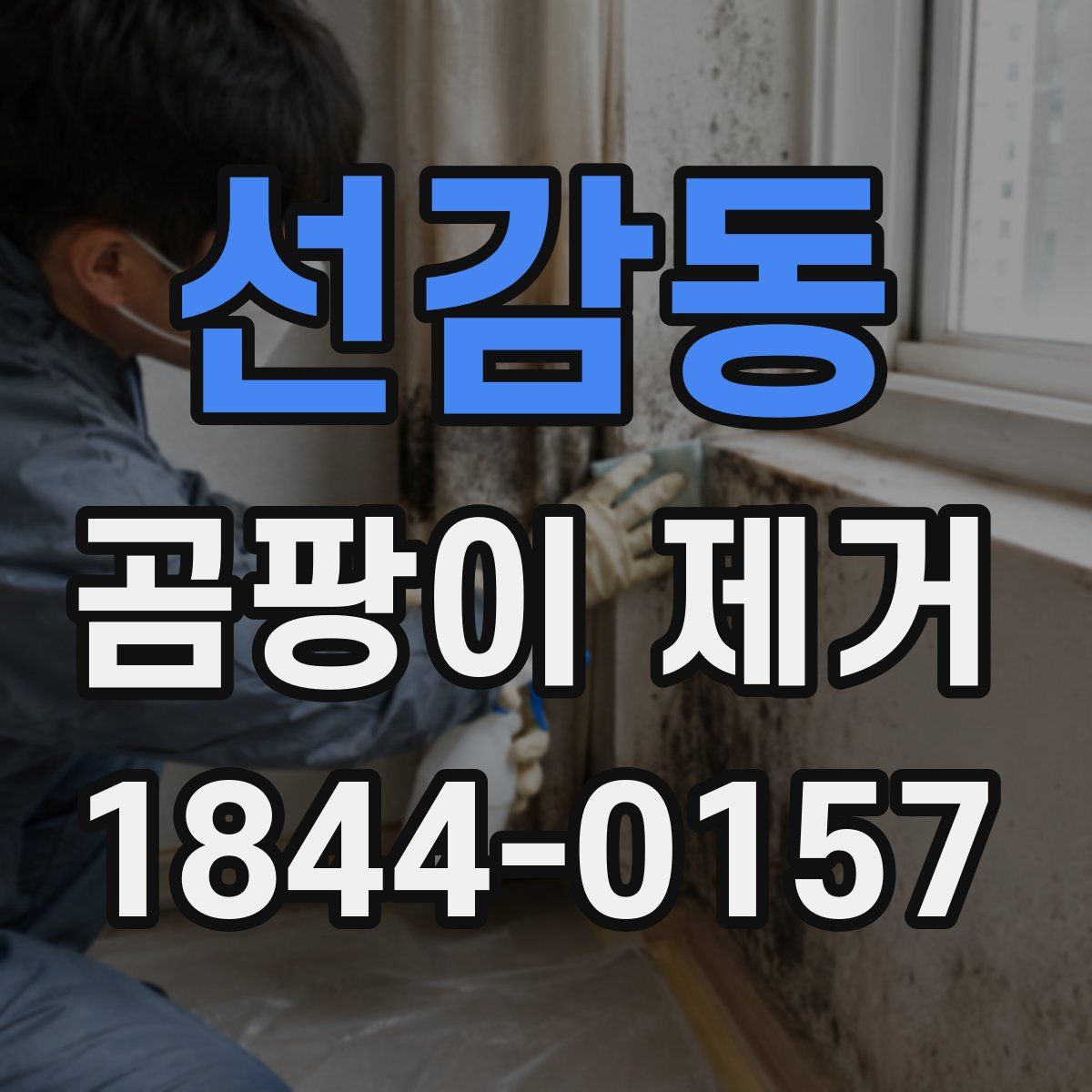 선감동 곰팡이 제거