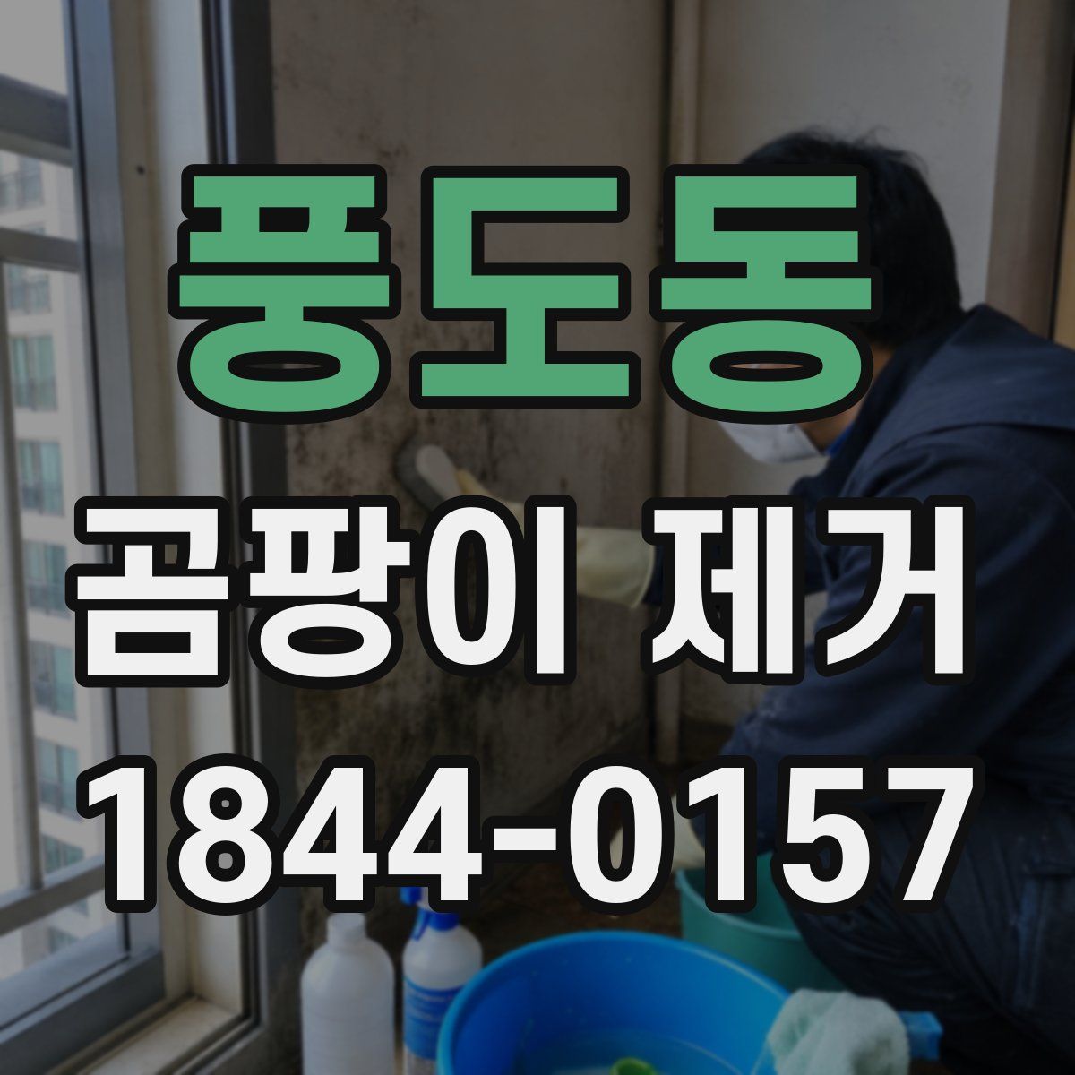 풍도동 곰팡이 제거
