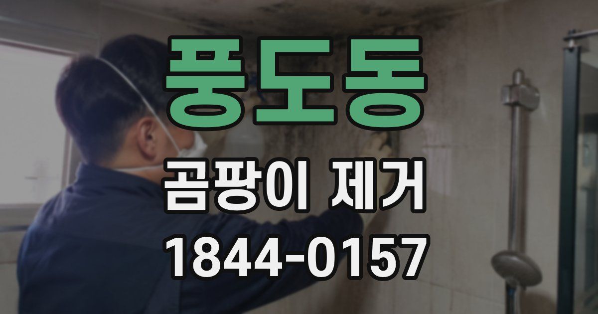 풍도동 곰팡이 제거