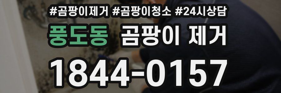 풍도동 곰팡이 제거