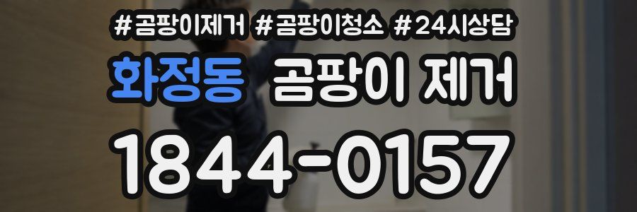 화정동 곰팡이 제거